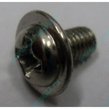 Компьютерный винт "малый" PW-M3x6mm (Тула)