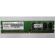 Модуль оперативной памяти 4Gb DDR2 Patriot PSD24G8002 pc-6400 (800MHz)  (Тула)