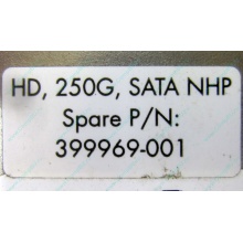 HP 250G 7.2k 432337-001/ 399699-001 / 397377-004 SATA HDD (Тула)