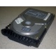 Жесткий диск 18.4Gb Quantum Atlas 10K III U160 SCSI (Тула)