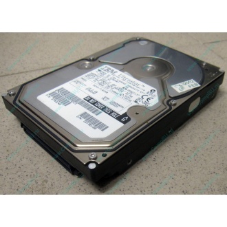 Жесткий диск 18.2Gb IBM Ultrastar DDYS-T18350 Ultra3 SCSI (Тула)