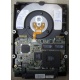 Жесткий диск 18.2Gb IBM Ultrastar DDYS-T18350 Ultra3 SCSI (Тула)