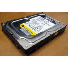 Жесткий диск 160Gb WD WD1602ABKS SATA (Тула)