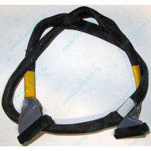 Кабель SCSI HP 166298-037 для HP ML370 G4 (Тула)