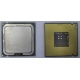 Процессор Intel Celeron D 336 (2.8GHz /256kb /533MHz) SL98W s.775 (Тула)
