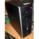 БУ компьютер HP Compaq Elite 8300 (Intel Core i3-3220 (2x3.3GHz HT) /4Gb /250Gb /ATX 320W) - Тула