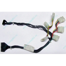 59P4789 FRU 59P4792 в Туле, кабель IBM 59P4789 FRU 59P4792 для серверов X225 (Тула)