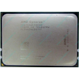 AMD Opteron 6128 OS6128WKT8EGO (Тула)