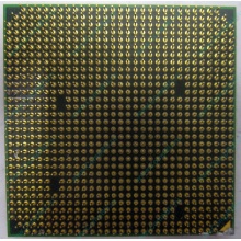 Процессор AMD Athlon 64300+ (1.8GHz) ADA3000IAA4CN s.AM2 (Тула)