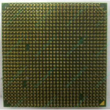 Процессор AMD Sempron 3000+ (1.6GHz) SDA3000IAA3CN s.AM2 (Тула)