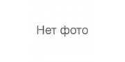 AMD (Тула)